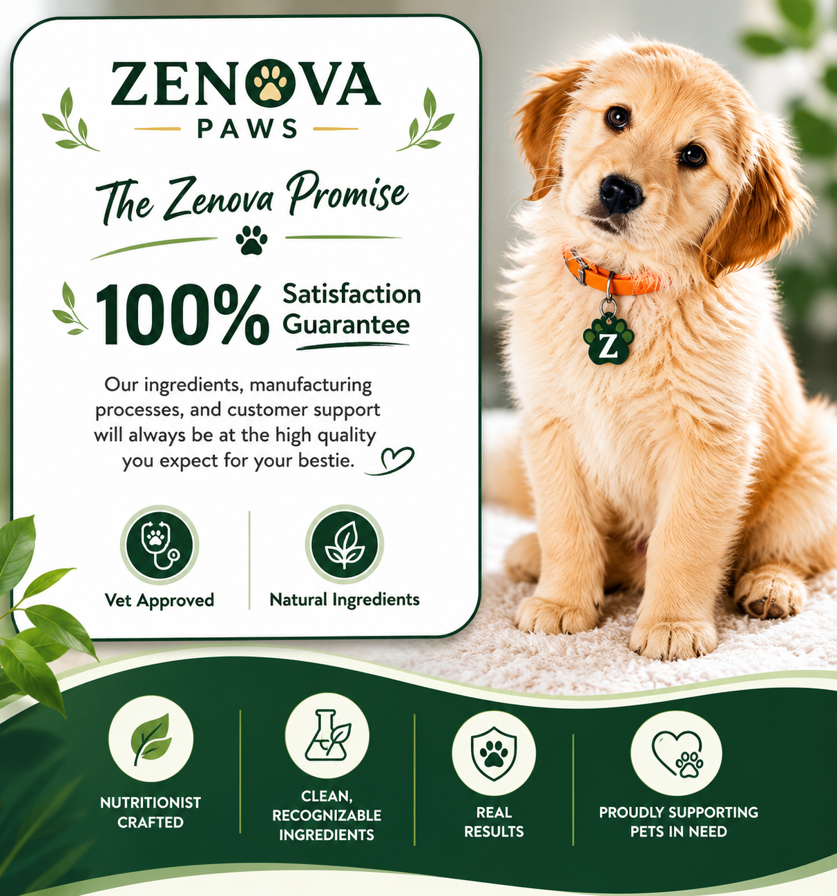 Zenova paws Probiotic Chews