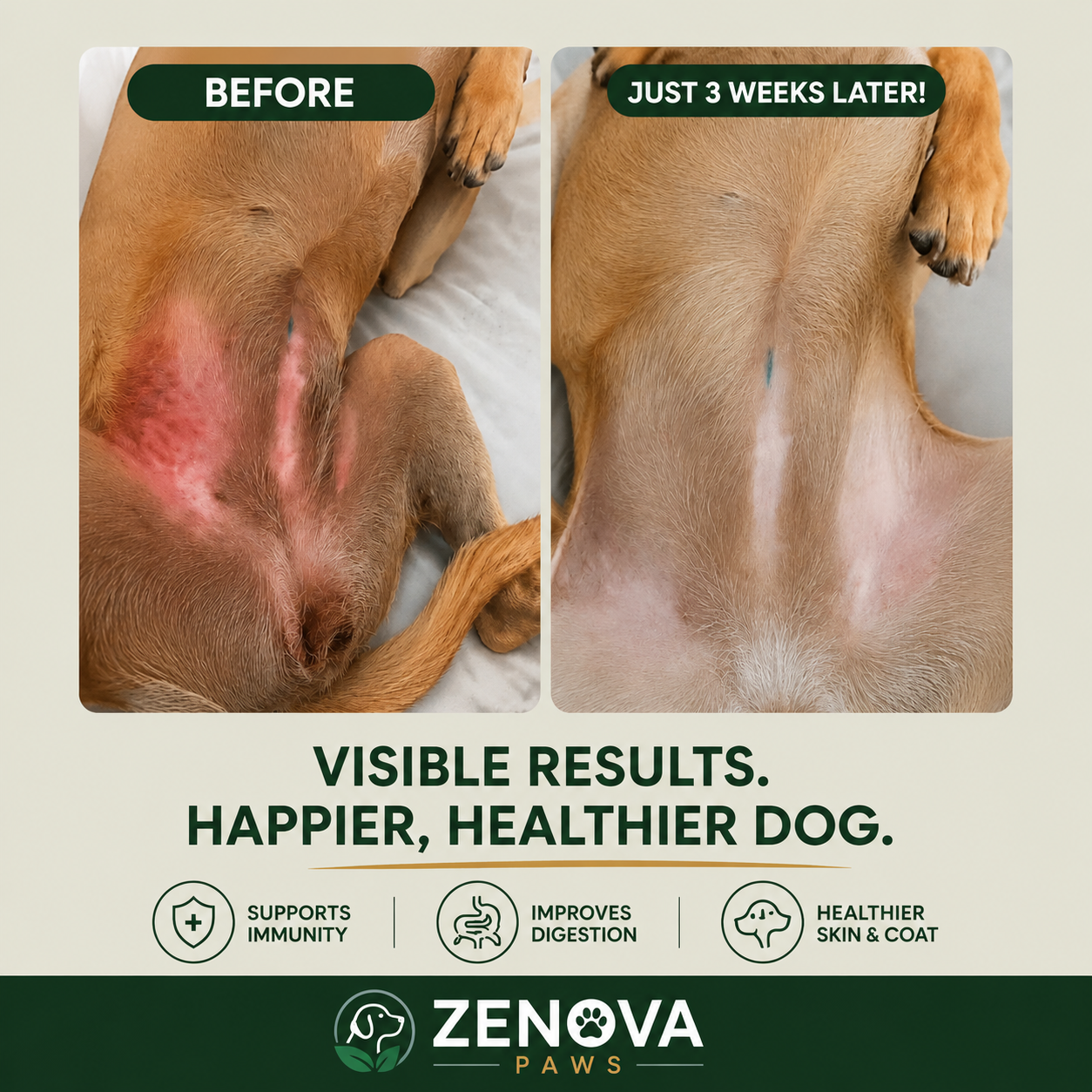 Probiotic Chews for Dogs – Gut & Digestive Health
